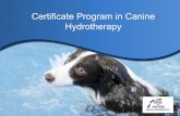 Certificate Program in Canine Hydrotherapy has its own benefits and is useful for a variety of conditions and ... CertificateInCanineHydrotherapyBrochure.ppt Author: Michelle Monk
