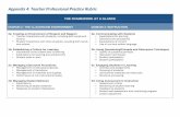 DOMAIN 2: THE CLASSROOM ENVIRONMENT … 4: Teacher Professional Practice Rubric THE FRAMEWORK AT A GLANCE DOMAIN 2: THE CLASSROOM ENVIRONMENT DOMAIN 3: INSTRUCTION 2a: Creating an