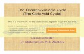 The Tricarboxylic Acid Cycle - University of · PDF file•Elimination of H2O from ... (a metabolically irreversible reactiona metabolically irreversible reactiona metabolically ...
