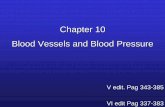 Chapter 10 Blood Vessels and Blood Pressurebiology/Classes/255/Chapter10.pdf · Chapter 10 Blood Vessels and Blood Pressure ... series of blood vessels in the systemic circulation