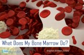 What Does My Bone Marrow Do? - MDS · PDF fileWhat Does My Bone Marrow Do? ... Red cells flow in the blood circulation to transport ... normal mature blood cells in the circulation.