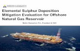 Elemental Sulphur Deposition Mitigation Evaluation for ...rate-engr.com/documents/offshore sulphur deposition mitigation.pdf · Elemental Sulphur Deposition ... Production tubing