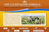Vision B - icrisat.org Cereals flyer.pdf · Family-scale sheep and goat herding relies on barley fodder in ... numbers. Technologies will be ... ICRISAT is headquartered in Hyderabad,