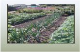 Allotments Policy - Homepage - Wakefield · Web viewBusiness or trade use of an allotments plot is forbidden. Organic gardening, composting, recycling and promoting biodiversity are