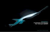 Sawﬁsh: A Global Strategy for Conservation - Dulvy Lab SSC Conservation Action Plan series has been one of the world’s most respected ... Specialist Group (SSG) in 1991; it is