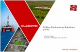 Drilling Engineering Solutions (DES) - · PDF fileDES . COLLABORATION . EFFICIENCY . REDUCED UNCERTAINTY . People . Solutions . Technology . and StrataSteer ® 3D Geosteering Service.