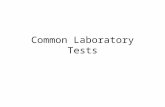 [PPT]Common Laboratory Tests - Stritch School of · Web viewCommon Laboratory Tests Carbon Dioxide Content The carbon dioxide content (CO2) measures the H2CO3, dissolved CO2 and bicarbonate