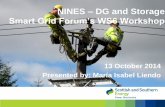 NINES DG and Storage - Office of Gas and Electricity … – DG and Storage Smart Grid Forum’s WS6 Workshop Monitoring LV Networks 1MW Battery Commercial Automated Demand Response