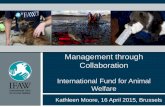 The Role of NGOs in Natural Disasters: Successful Disaster ... Conference/LV ppts/K_Moore.pdf · The Role of NGOs in Natural Disasters: Successful Disaster Management through Collaboration