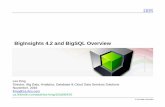 BigInsights 4.2 and BigSQL Overview - · PDF fileBigInsights 4.2 and BigSQL Overview Les King Director, Big Data, Analytics, Database & Cloud Data Services Solutions November, 2016