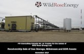 Receivership Sale of Gas Storage, Midstream and EOR Assetscfcanada.fticonsulting.com/Blaze/docs/Wild Rose - Receivership... · 1 FTI Consulting Canada Inc. as Trustee for the Estate