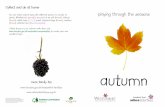 autumn - The Woodland · PDF fileWoodland snakes and autumn flowersWoodland snakes and autumn flowers Collect some fallen leaves of different colours. Lay them in a line to create