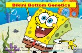 Bikini Bottom Genetics - wikispaces.netbiochem.greenwich.wikispaces.net/file/view/Sponge+Bo… ·  · 2013-10-31Bikini Bottom Genetics Grade 7; GLEs 17, 19, 20, 21 Based on a lesson