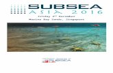 asia programme 2nd dec.docx · Web viewexpertise is in the Oil and Gas industry, specifically in offshore Inspection Maintenance and Repair (IMR), subsea pipeline, and metocean engineering;