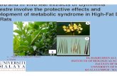 and In vitro In vivo leaf extracts of Gymnema sylvestre ... · PDF fileCallus culture (Optimized Plant Growth Regulators) Explants (Leaf, Stem and Petiole) Sterilization (70% ethyl