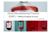 Good Manufacturing Practice (GMP) -What - Welcome to JPAC · PDF fileValidation and qualification. GMP & BSQR ... guidelines, training ... heating, ventilation, power gases water and