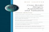 Cross-Border Mergers, Acquisitions, and Valuationwps.aw.com/wps/media/objects/5315/5443332/Chapter_WEB.pdfWeb Chapter: Cross-Border Mergers, Acquisitions, and Valuation W-3 Increasing
