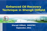 Enhanced Oil Recovery Technique in Shengli Oilfield - Yong - Shengli Oil Field...Enhanced Oil Recovery Technique in Shengli Oilfield ... High Reservoir heterogeneity ... The polymer