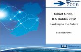 Smart Grids, IEA Dublin 2012 · PDF fileSmart Grids, IEA Dublin 2012 Looking to the Future ESB Networks. 2025 2. ... SAP-ISU rel.1 updates SAP-ISU rel.1 updates. Complex Implementation