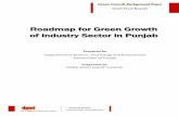 Roadmap for Green Growth of Industry Sector in Punjab for Green Growth of Industry Sector in Punjab iii Table of contents 1 Introduction 5 2 Energy intensive industries ...