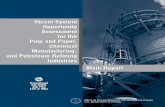 Steam System Opportunity Assessment for the Pulp and Paper ... · PDF fileFigure 3.1-2.Pulp and Paper Industry Boiler Capacity by Fuel Type Figure 3.1-3.Pulp and Paper Industry Steam