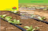 Water Soluble Fertilizers for Fertigation - ilpas. · PDF fileWater Soluble Fertilizers for Fertigation. ... Prepare a solution by dissolving 15 kg soluble salt per 100 l water (if