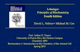 Lehninger Principles of Biochemistrychemistry4055-atinoco.weebly.com/uploads/1/3/0/9/13091792/chapter...Lehninger . Principles of Biochemistry. ... powerpoint slides for visual aid