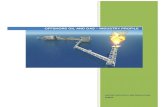 Offshore Oil and Gas Industry Profile · PDF filecentre for policy and regulation samsa offshore oil and gas – industry profile