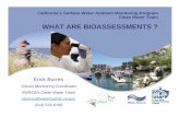 WHAT ARE BIOASSESSMENTS ARE BIOASSESSMENTS ? Erick Burres ... Why bioassessment? ... fish, periphyton, macrophytes) are calculated from these measurements