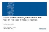 Scale-down Model Qualification anddown Model Qualification c.ymcdn.com/sites/ · PDF file · 2016-05-11Scale-down Model Qualification anddown Model Qualification and Use in Process