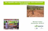 The vegetable value chain in Honduras: How small farmers  · PDF fileMichael Velten Gerzensee, 12.01.07 The vegetable value chain in Honduras: How small farmers are included