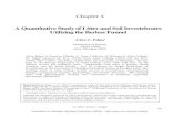 A Quantitative Study of Litter and Soil Invertebrates ...ableweb.org/volumes/vol-6/4-edgar.pdf · Chapter 4 A Quantitative Study of Litter and Soil Invertebrates Utilizing the Berlese