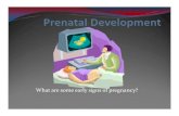 Conception to Birth - Tracy Unified School District Documents...From Conception to Birth Period of the Zygote Period of the Embryo Period of the Fetus Period of the Zygote Begins when