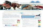 What is BHL? - Biodiversity Heritage Library - Aboutbiodivlib.wikispaces.com/file/view/BHL Promotional Flyer...Inspiring discovery through free access to Biodiversity Knowledge. The