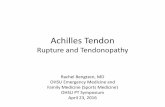 Achilles Tendon - Oregon Health & Science University ruptured tendon to facilitate healing. •Regimens vary. Willits et al: –Immobilization (cast or functional brace) –Initially: