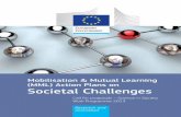 Mobilisation & Mutual Learning (MML) Action Plans on ... · PDF fileResearch and Innovation Mobilisation & Mutual Learning (MML) Action Plans on Societal Challenges Call for proposals