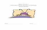 EESL CYCLE 2 (Information-Based Narrative on Bedbugs)seduc.csdecou.qc.ca/sec-anglais/files/2014/10/BedBugs-EESL-Cycle-… · EESL CYCLE 2 (Information-Based Narrative on Bedbugs)