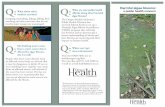 Harmful Algae Blooms: A Public Health Concernpublic.health.oregon.gov/.../Documents/hab-brochure.pdfHarmful algae blooms: a public health concern People who draw water directly from