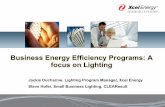 Business Energy Efficiency Programs: A focus on … Energy Efficiency Programs: A focus on Lighting ... Xcel Energy Steve Hofer, Small Business Lighting ... Projecting to achieve the