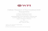 Cellular Transport of Functionalized Gold Nanoparticles · PDF file · 2013-04-25Cellular Transport of Functionalized Gold Nanoparticles ... The biomedical industry is faced with