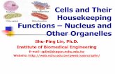 Cells and Their Housekeeping Functions Nucleus and …web.nchu.edu.tw/pweb/users/splin/lesson/9557.pdf · Cells and Their Housekeeping Functions – Nucleus and Other Organelles ...