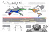 Origins - San Francisco State Universityonline.sfsu.edu/rapidviz/523_infodesign_posters/523_human_origins... · human evolution from its early beginnings in Africa to its widespread