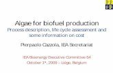 Algae for biofuel production - IEA   for biofuel production ... biodiesel Nutrients, CO 2, water, ... production of algae is analyzed with respect to life-cycle emissions