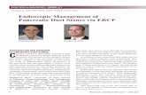 Endoscopic Management of Pancreatic Duct Stones via · PDF fileFRONTIERS IN ENDOSCOP SERIES 11 Endoscopic Management of Pancreatic Duct Stones via ERP PRACTICAL GASTROENTEROLOGY •