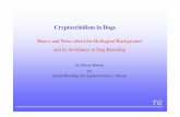 Basics and News about the Biological Background and its ... 2003.pdf · Cryptorchidism in Dogs Basics and News about the Biological Background and its Avoidance in Dog Breeding TG