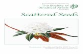 Summer 2016 Scattered Seeds - soc-botanical- · PDF filecoming up with new labelling to highlight ... great this year with the lovely cotton tote ... taking botanical paintings to