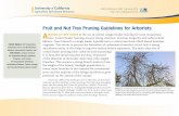 Fruit and Nut Tree Pruning Guidelines for Arborists - ANR · PDF file · 2014-01-14Fruit and Nut Tree Pruning Guidelines for Arborists Arborists are well versed in the use of central