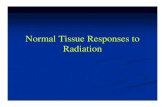 Normal Tissue Responses to Radiation - RadCCORE Tissue Responses to... · Normal Tissue Responses to Radiation ... After latent periods of ~ 4-12 months animals start to ... Tissues