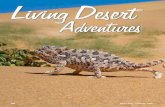 Africa Wild - Living Desert Adventures - Swakopmund Wild - Living... · rq wkh vhpl frpsdfwhg zlqgzdug vlgh ri wkh gxqh lw kdv yhu\ orqj dqwhqqdh zklfk lw xvhv dv vhqvh rujdqv wr