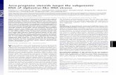 Seco-pregnane steroids target the subgenomic RNA of · PDF file · 2008-01-08Seco-pregnane steroids target the subgenomic RNA of alphavirus-like RNA viruses ... antiviral drugs, ...